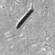 Image for article titled Scientists have created remote controlled cyborg sperm